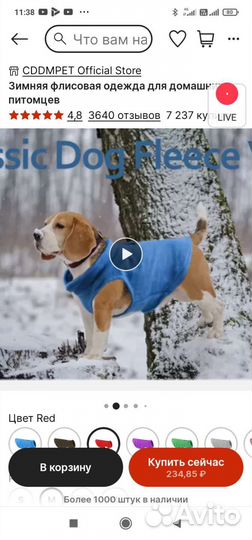 Одежда для домашних питомцев