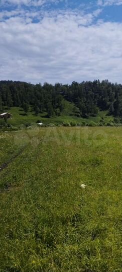 Участок 12 сот. (СНТ, ДНП)