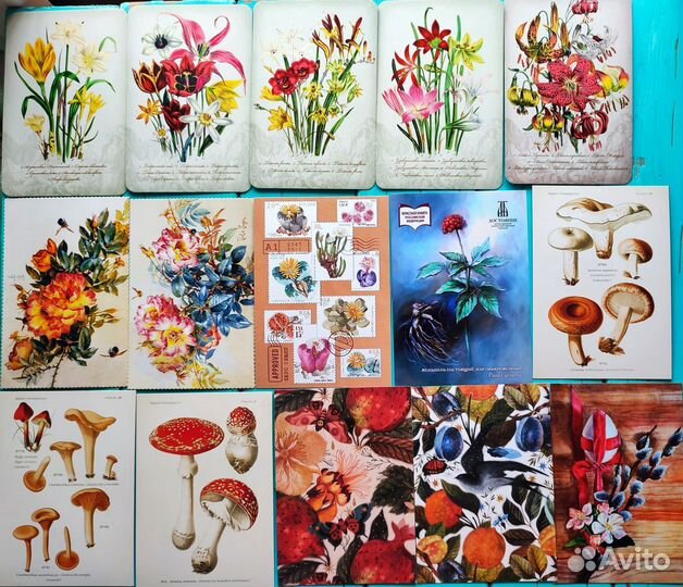 Открытки ботанические цветы, грибы, птицы
