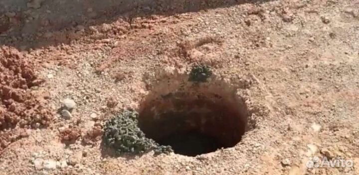 Услуги бензо ямобура, бурю отверстие, ямобур, бенз