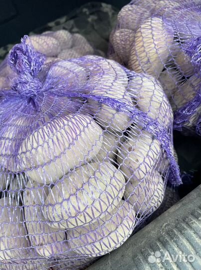 Картофель крупный и семенной с доставкой по 30 кг