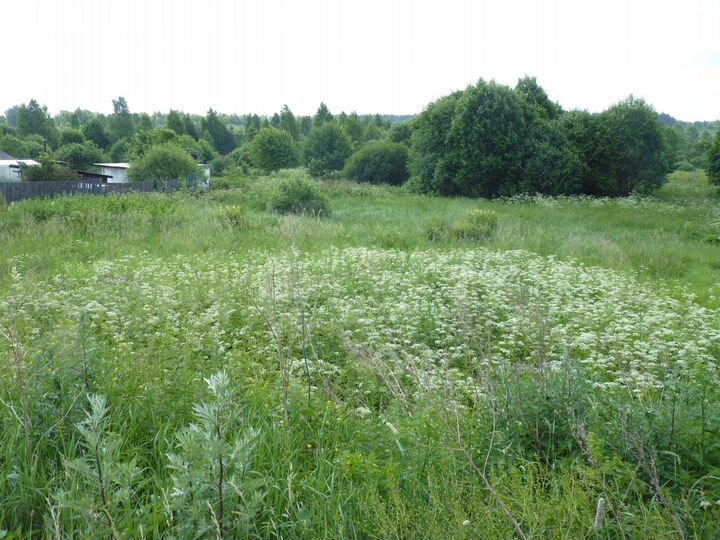 Участок 21 сот. (ИЖС)