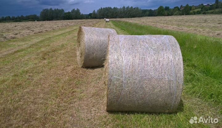 Сено в рулонах 2024 год