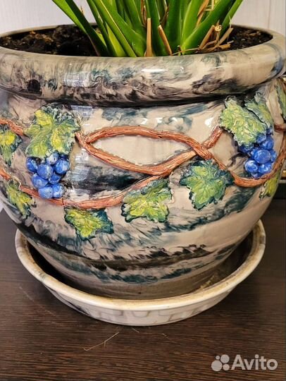 Спацифиллум 90 см