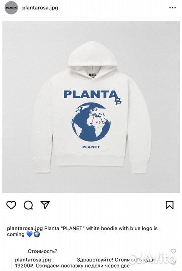 Planta rosa худи