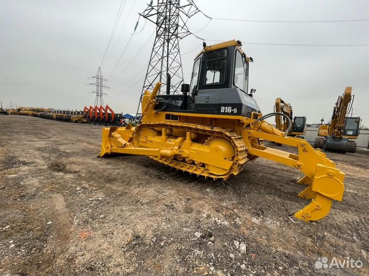 Beezone D16-5, 2024