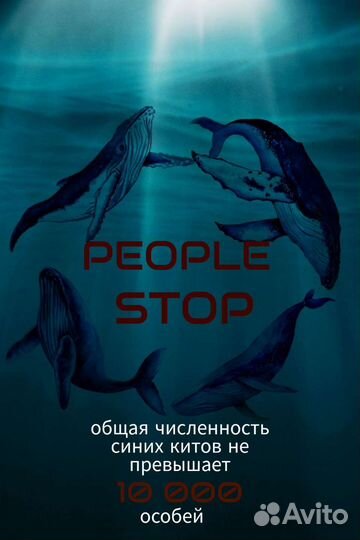 Разработка баннеров и листовок
