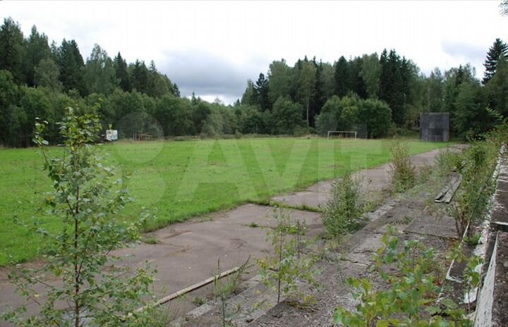 Территория пионерского лагеря 