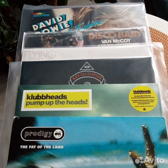 Коллекция винила