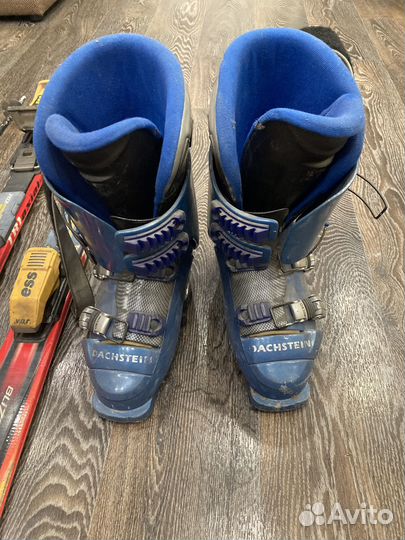 Горные лыжи