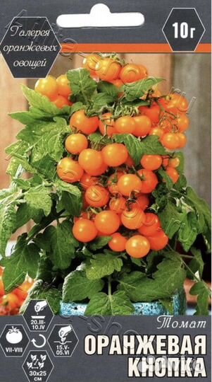 Рассада Японский черри мини, томаты на окошко