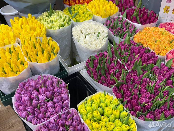 Корзина цветов / тюльпаны