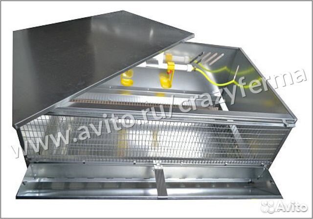 Ферма для выращивания бройлеров