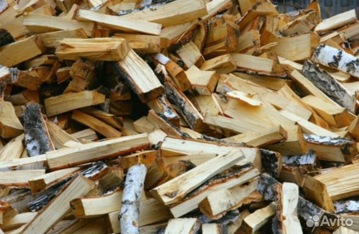 Дрова береза