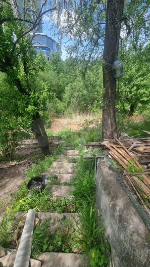 Дом 37,2 м² на участке 6 сот.