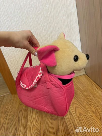 Чичилав