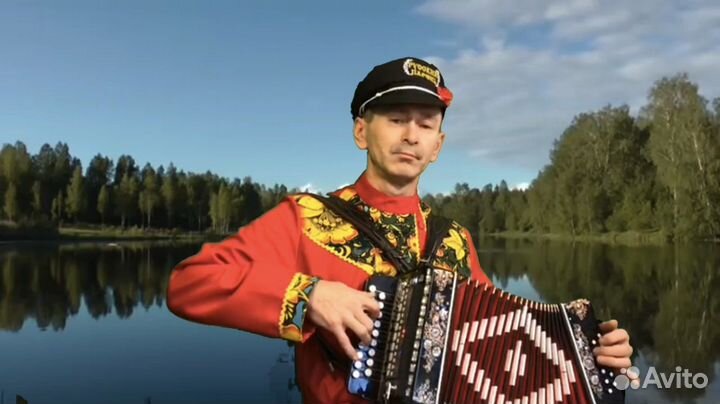 Услуги гармониста