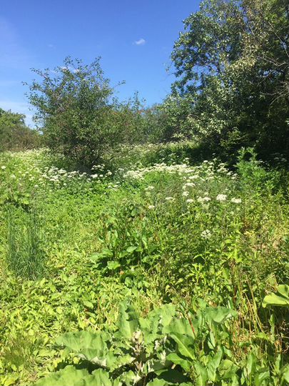 Дом 60 м² на участке 20 сот.