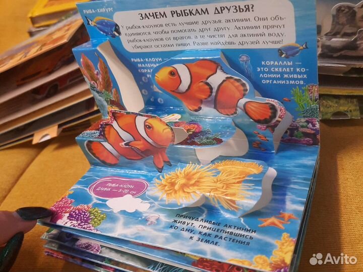 Познавательные книги для детей