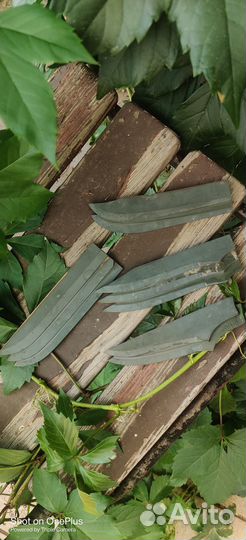 Заготовки для ножей, техническая яшма