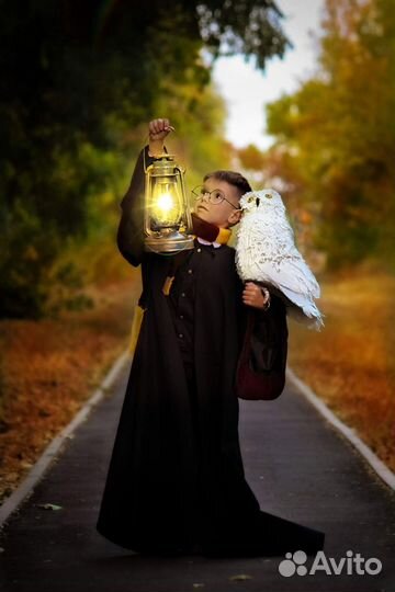 Детские игрушки, декорации, гарри поттер, букля