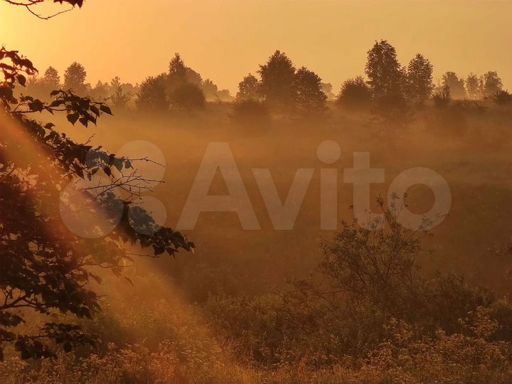 Участок 47 сот. (ИЖС)