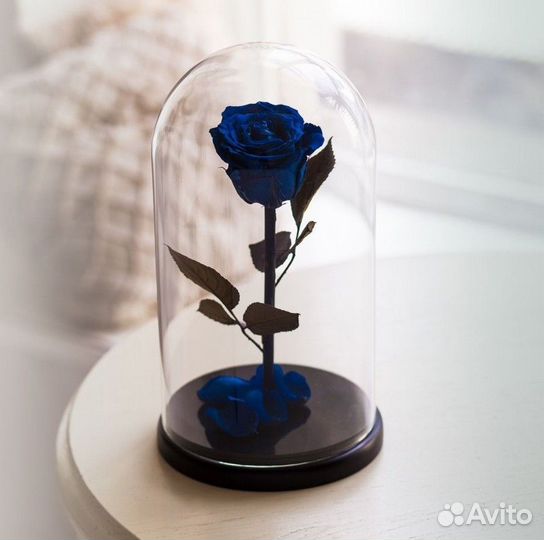 Роза в колбе 