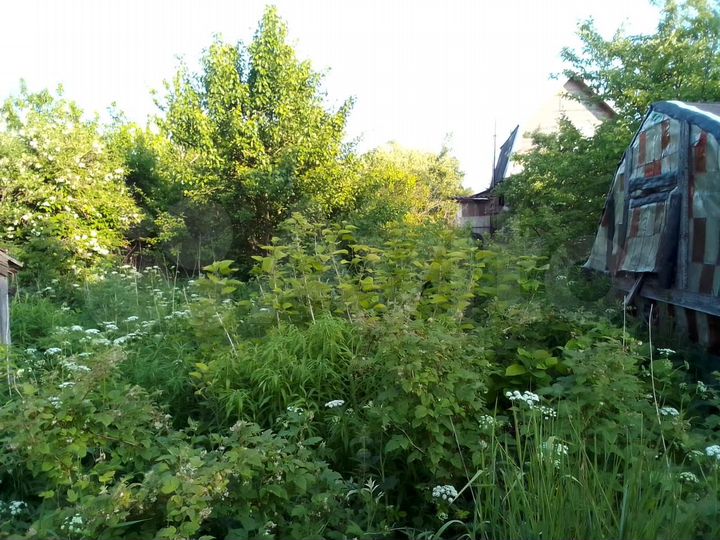 Участок 10,1 сот. (СНТ, ДНП)