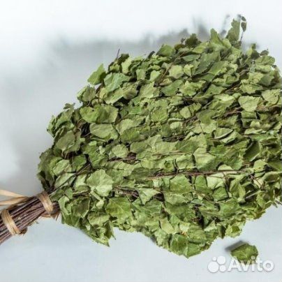 Веники берёза