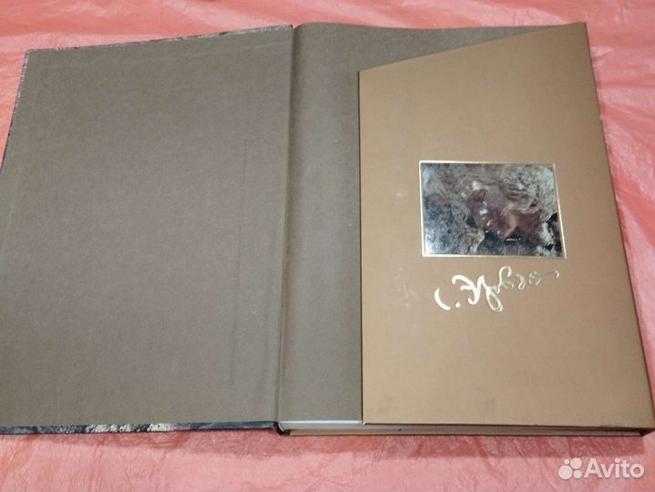 Книга Степан Эрьзя