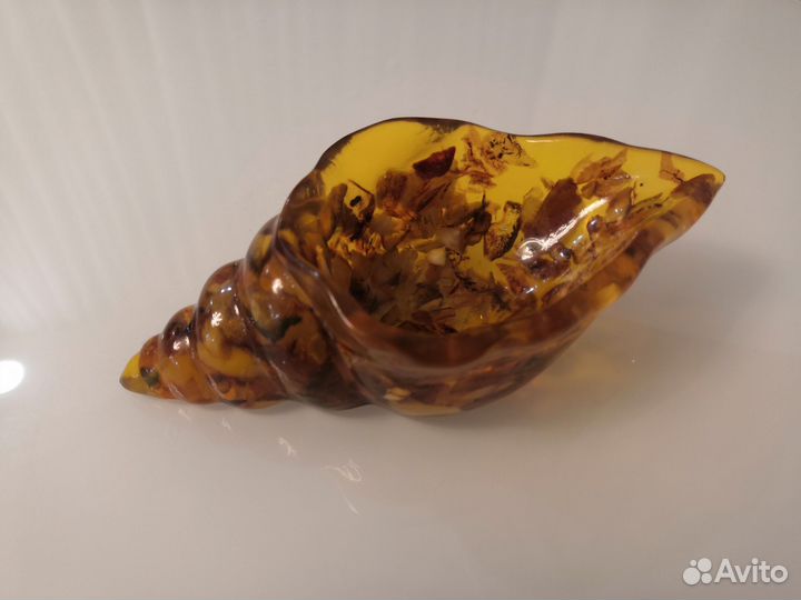 Ракушка из янтаря 130*60 мм