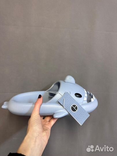 Шлепанцы мужские акула