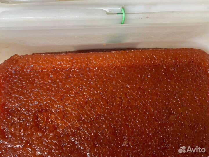 Красная икра оптом