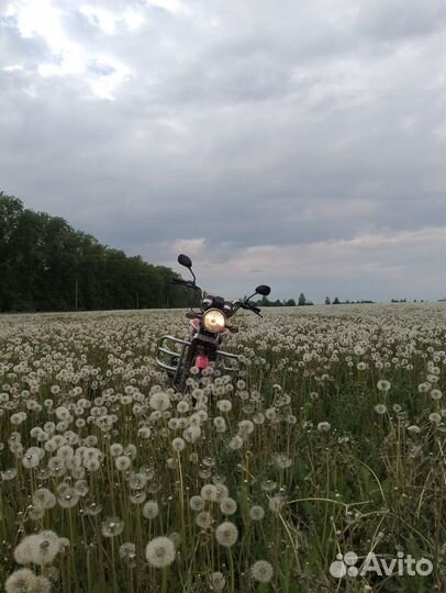 Альфа Rx11