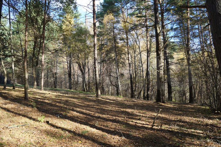 Участок 1,85 га (ИЖС)