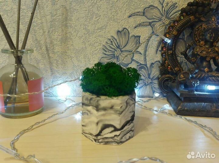 Кашпо с мхом