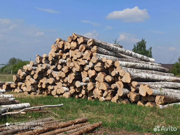 Лес кругляк пиловочник берёза