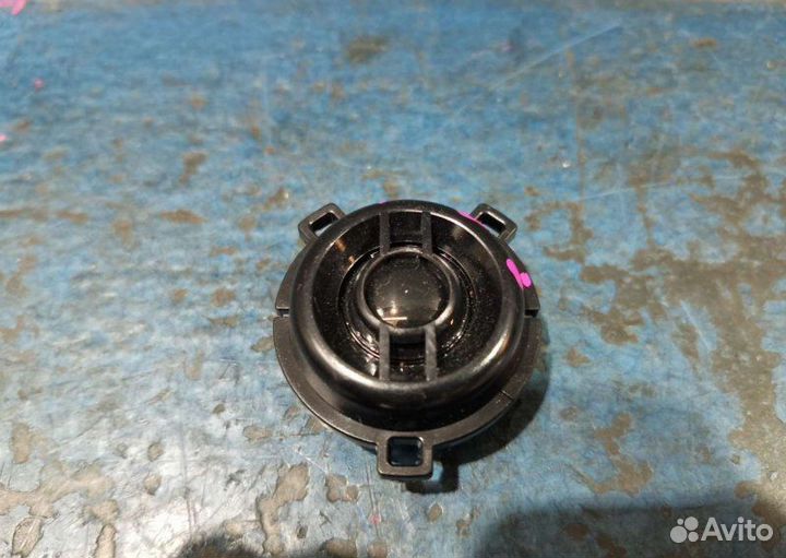 Динамик Volkswagen Tiguan NF