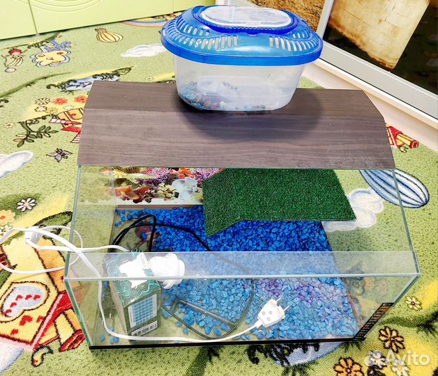 Акватеррариум для черепахи