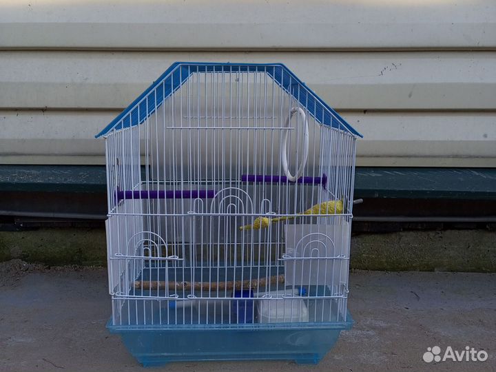 Клетки для попугая и хомяка