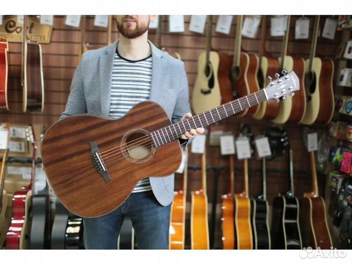 Parkwood S22M-NS с чехлом акустическая гитара