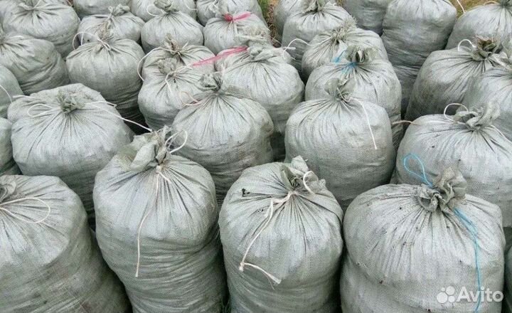 Конский навоз