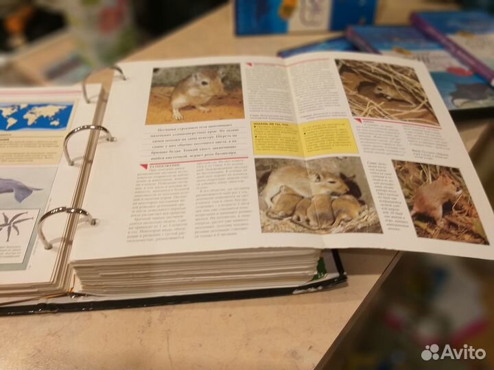 Коллекция Энциклопедия В мире дикой природы+DVD