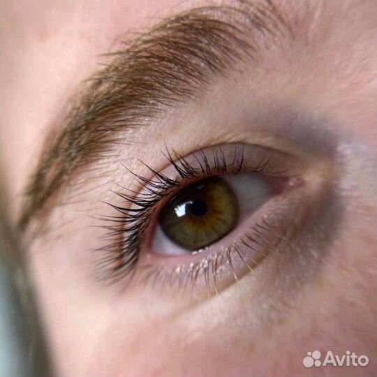Ресницы, брови