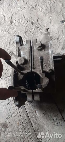 Картер на муравей