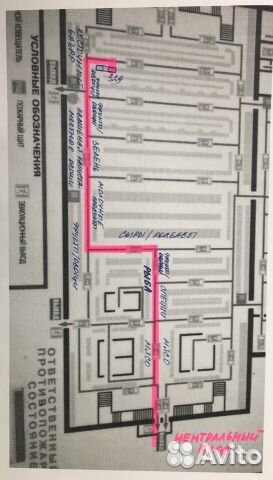 Фиалка ек-Волшебница весна