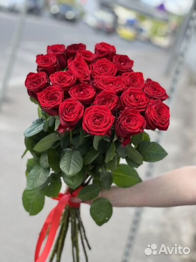 Роза 60 см