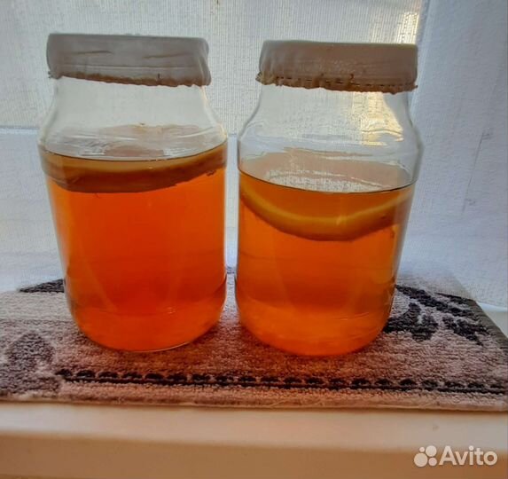 Банка и чайный гриб