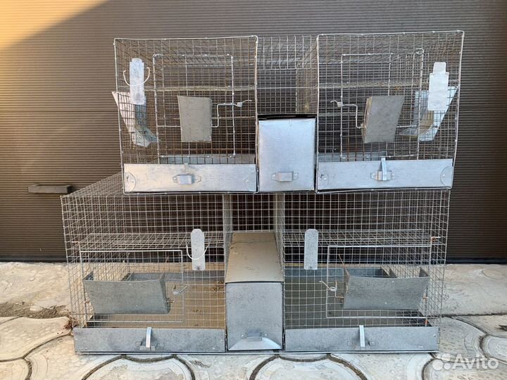 Клетка для разведения шиншилл