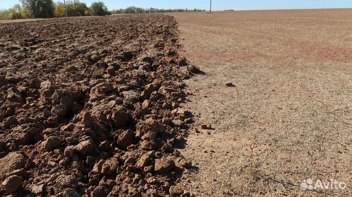 Плуг Югжелдормаш ОМПО-5,6, 2022